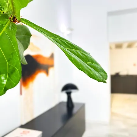 Casa Columela Grupo Ac Gestion Apartment *